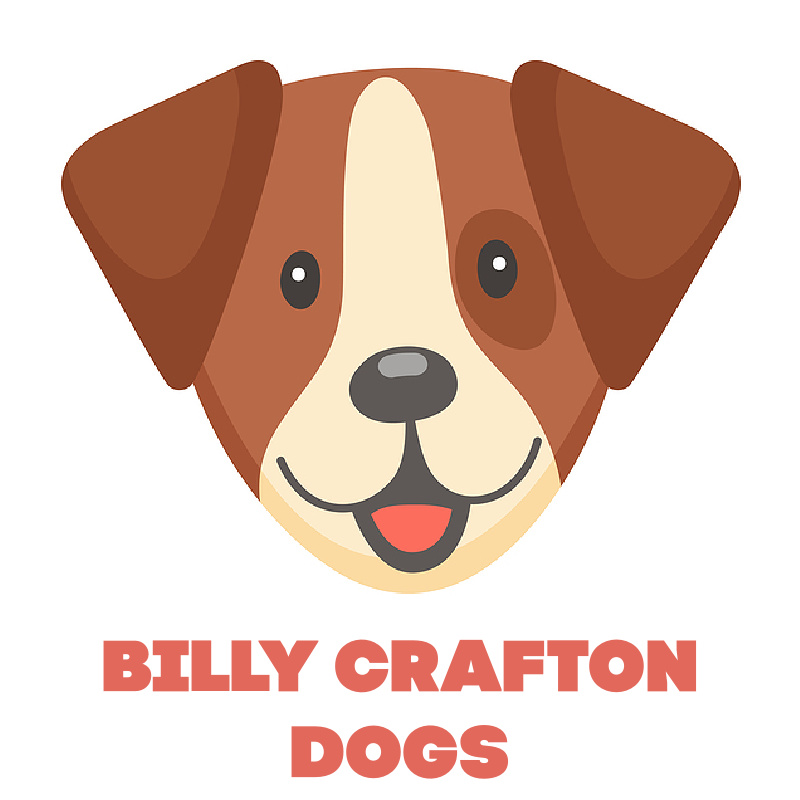 Billy Crafton Training Vimeo